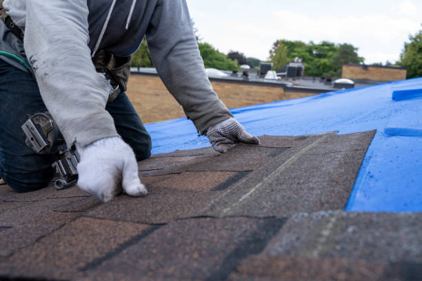 Quick and Trustworthy Emergency Roof Repair Services in Kenbridge, VA