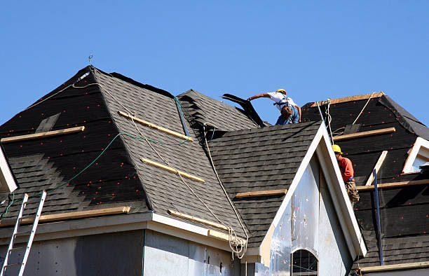 Best Roof Gutter Cleaning  in Kenbridge, VA