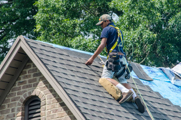 Best New Roof Installation  in Kenbridge, VA